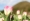 L版写真10,000枚を並べて作ったモザイクアート