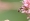 L版写真10,000枚を並べて作ったモザイクアート