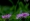 L版写真10,000枚を並べて作ったモザイクアート