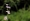 L版写真10,000枚を並べて作ったモザイクアート