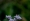 L版写真10,000枚を並べて作ったモザイクアート