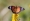 L版写真10,000枚を並べて作ったモザイクアート