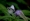 L版写真10,000枚を並べて作ったモザイクアート