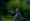 L版写真10,000枚を並べて作ったモザイクアート