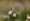 L版写真10,000枚を並べて作ったモザイクアート