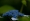 L版写真10,000枚を並べて作ったモザイクアート