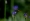L版写真10,000枚を並べて作ったモザイクアート