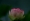 L版写真10,000枚を並べて作ったモザイクアート