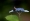L版写真10,000枚を並べて作ったモザイクアート