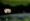L版写真10,000枚を並べて作ったモザイクアート