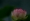 L版写真10,000枚を並べて作ったモザイクアート