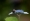 L版写真10,000枚を並べて作ったモザイクアート