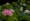 L版写真10,000枚を並べて作ったモザイクアート