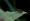 L版写真10,000枚を並べて作ったモザイクアート