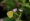 L版写真10,000枚を並べて作ったモザイクアート
