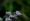 L版写真10,000枚を並べて作ったモザイクアート