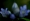 L版写真10,000枚を並べて作ったモザイクアート