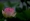 L版写真10,000枚を並べて作ったモザイクアート