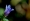 L版写真10,000枚を並べて作ったモザイクアート