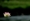 L版写真10,000枚を並べて作ったモザイクアート