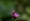 L版写真10,000枚を並べて作ったモザイクアート