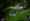 L版写真10,000枚を並べて作ったモザイクアート