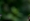 L版写真10,000枚を並べて作ったモザイクアート