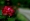 L版写真10,000枚を並べて作ったモザイクアート