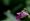 L版写真10,000枚を並べて作ったモザイクアート