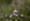 L版写真10,000枚を並べて作ったモザイクアート