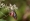 L版写真10,000枚を並べて作ったモザイクアート