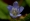 L版写真10,000枚を並べて作ったモザイクアート