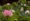 L版写真10,000枚を並べて作ったモザイクアート
