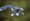 L版写真10,000枚を並べて作ったモザイクアート