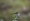 L版写真10,000枚を並べて作ったモザイクアート