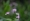 L版写真10,000枚を並べて作ったモザイクアート