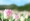 L版写真10,000枚を並べて作ったモザイクアート