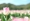 L版写真10,000枚を並べて作ったモザイクアート