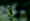 L版写真10,000枚を並べて作ったモザイクアート