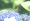 L版写真10,000枚を並べて作ったモザイクアート
