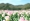 L版写真10,000枚を並べて作ったモザイクアート