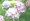 L版写真を並べるモザイクアート画像