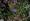 L版写真を並べるモザイクアート画像