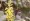 L版写真を並べるモザイクアート画像