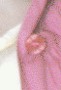 poster_012_006.jpg