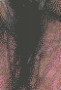 poster_014_004.jpg